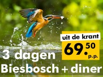 Hotel Oosterhout **** Hotel Oosterhout ****